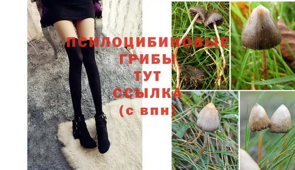 jwh Нефтегорск